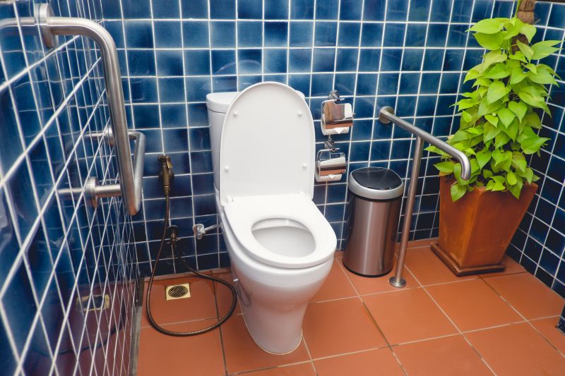 Accessible Toilet Installations