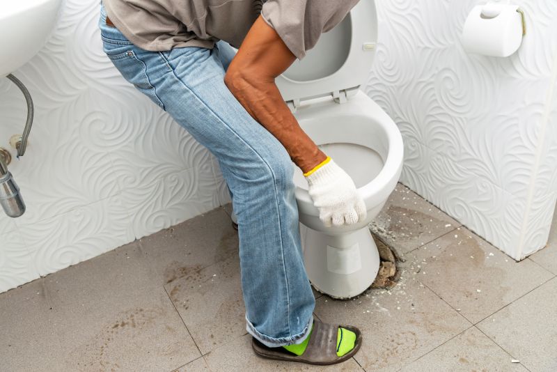 Image of Toilet Installation Process